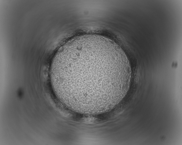 X0000112470695200909071133