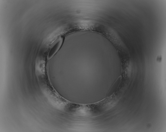 X0000112470696200909071133