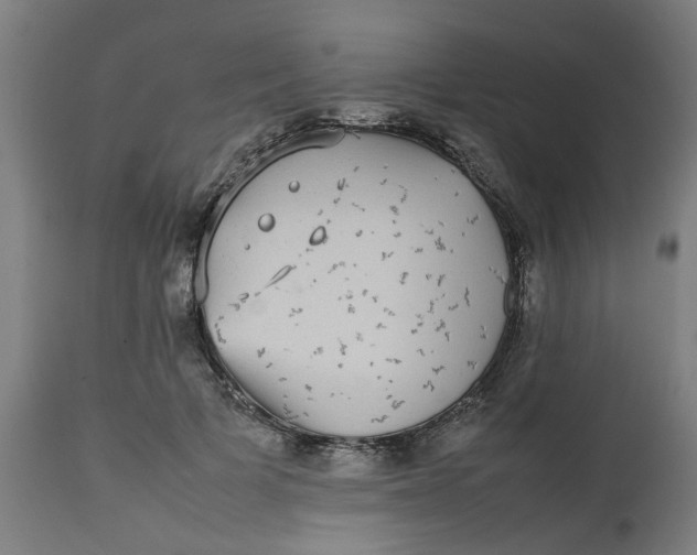 X0000112470697200909071133