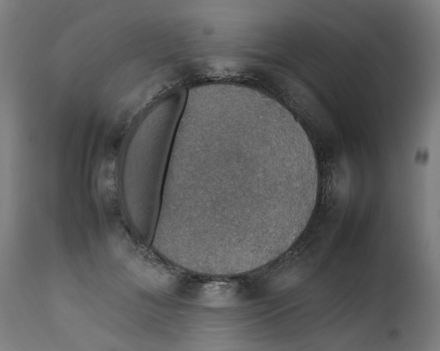 X0000112470700200909071133