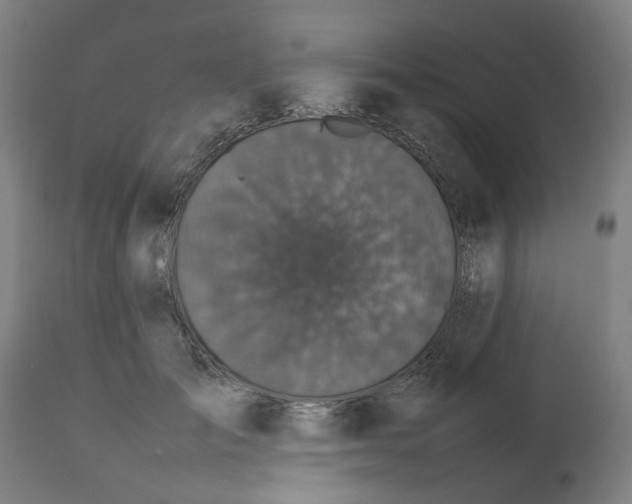 X0000112470701200909071133