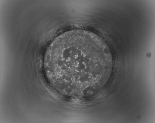 X0000112470703200909071133