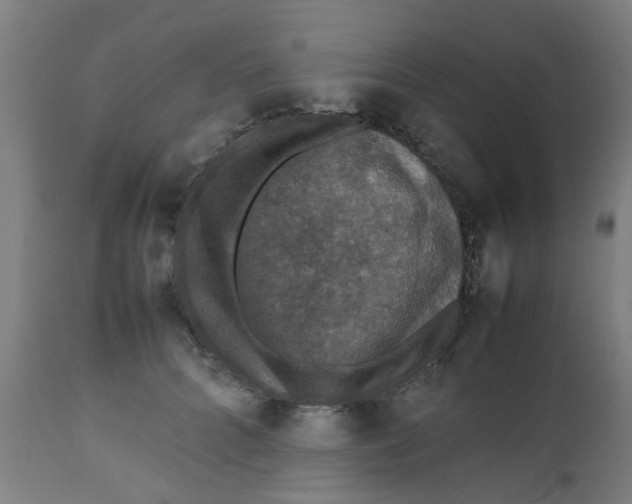 X0000112470704200909071133