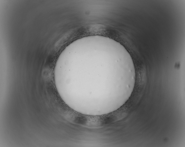 X0000112470705200909071133