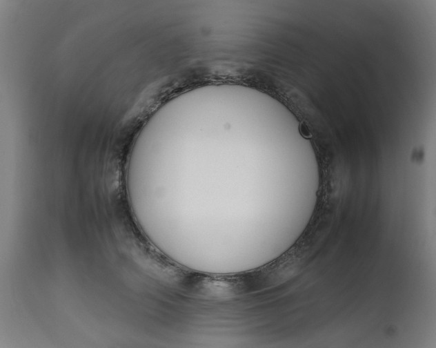 X0000112470706200909071133