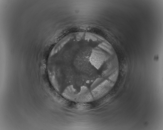 X0000112470707200909071133