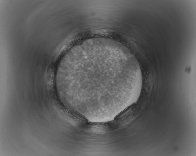 X0000112470708200909071133