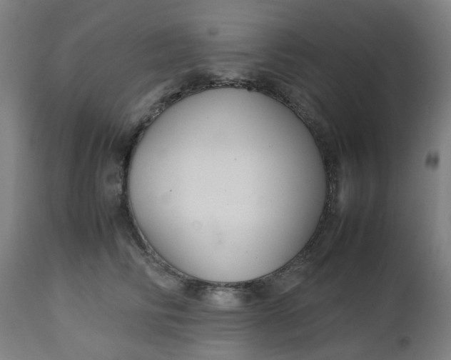 X0000112470710200909071133