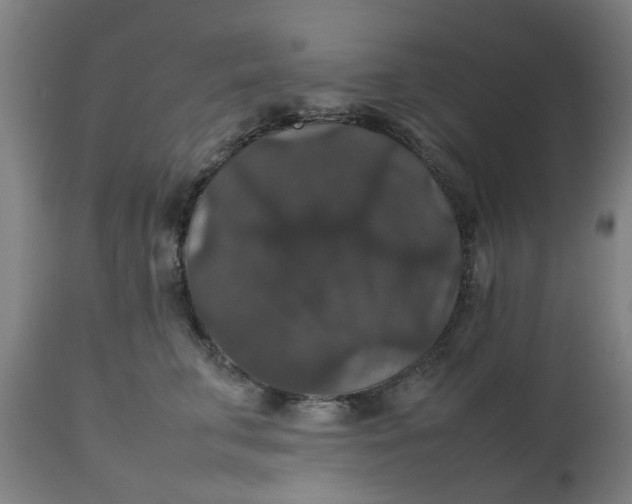 X0000112470711200909071133