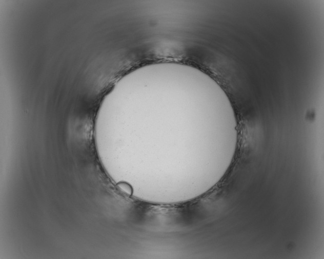 X0000112470713200909071133