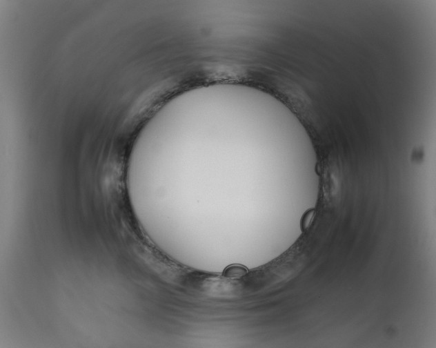 X0000112470714200909071133