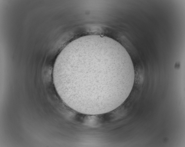 X0000112470717200909071133