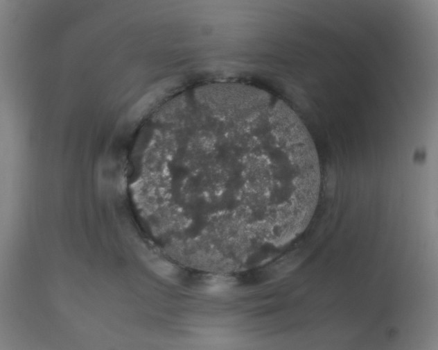 X0000112470719200909071133