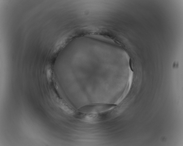 X0000112470720200909071133