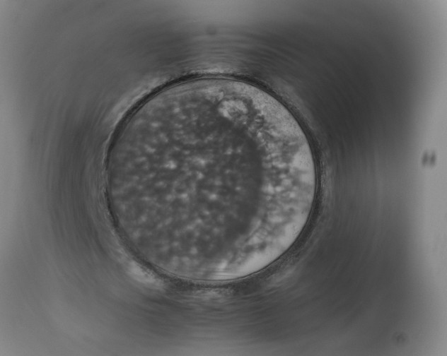 X0000112470721200909071132