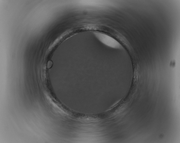 X0000112470722200909071132