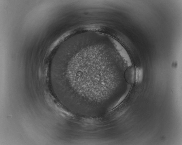 X0000112470723200909071132