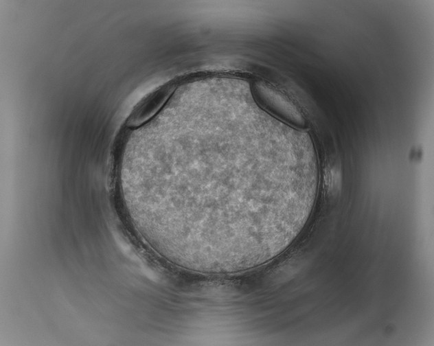 X0000112470724200909071132