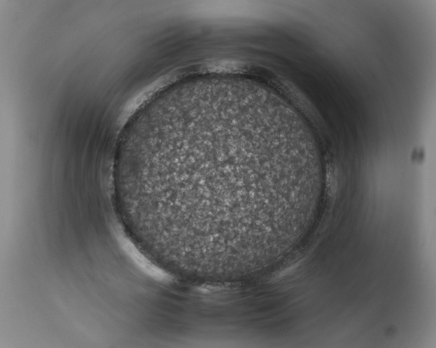 X0000112470725200909071132