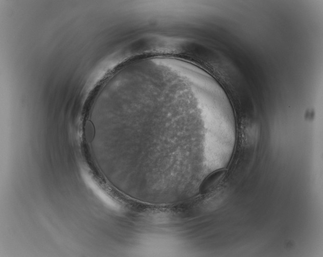 X0000112470726200909071132