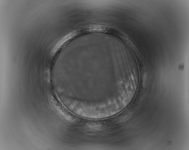 X0000112470729200909071133