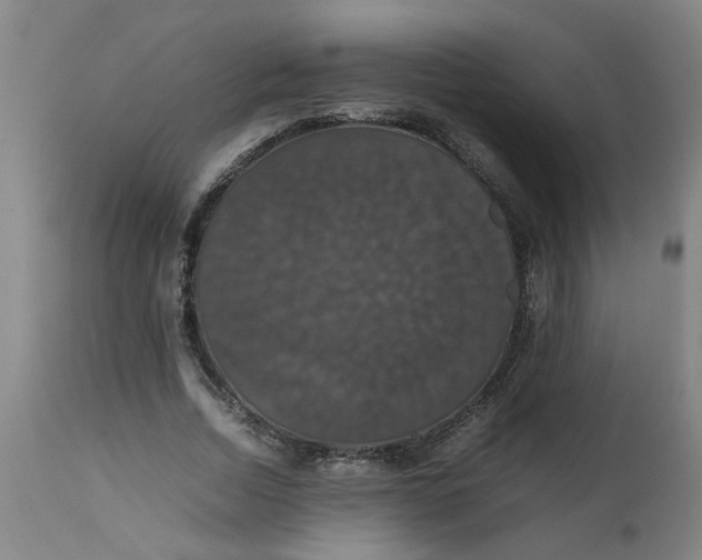 X0000112470730200909071133