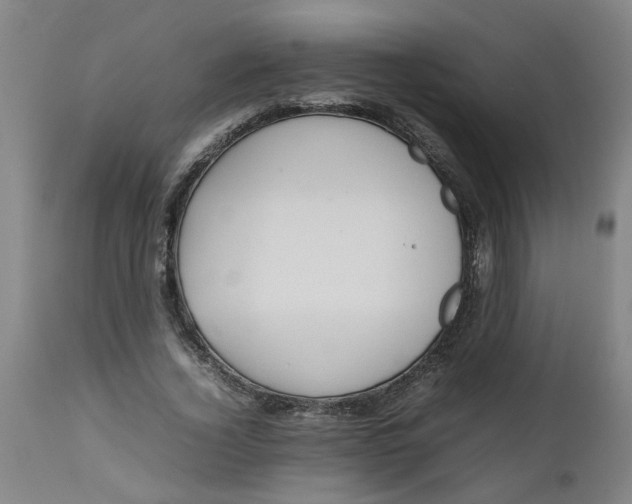 X0000112470732200909071133