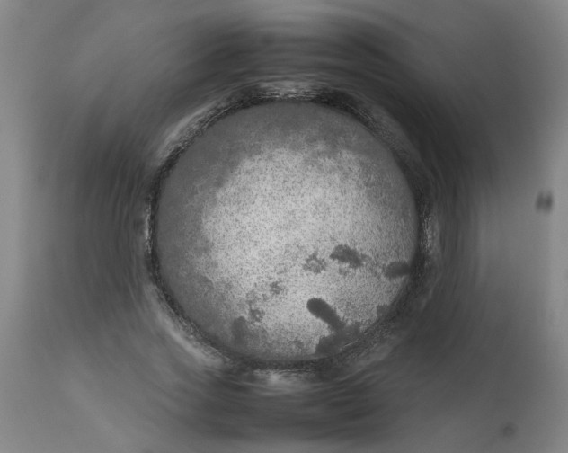 X0000112470733200909071133