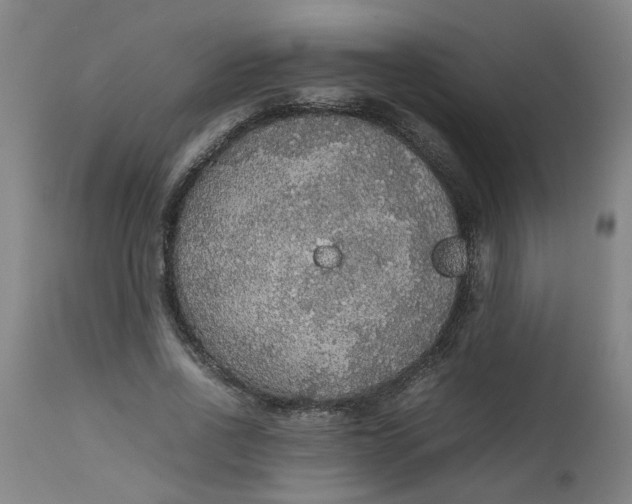 X0000112470734200909071133