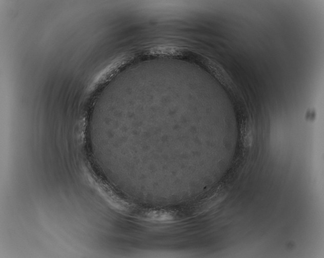 X0000112470735200909071133