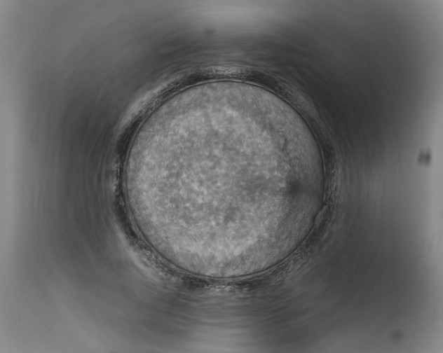 X0000112470736200909071133