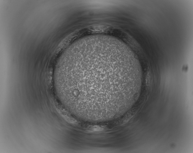 X0000112470737200909071133