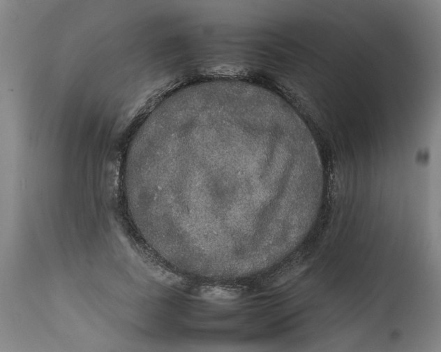 X0000112470739200909071133