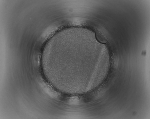 X0000112470740200909071133