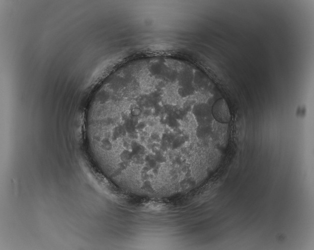 X0000112470742200909071133