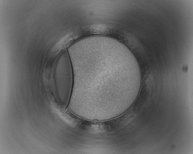 X0000112470744200909071133