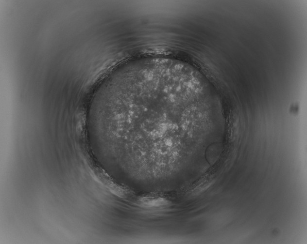 X0000112470747200909071133