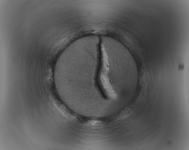 X0000112470748200909071133