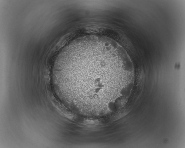 X0000112470749200909071133