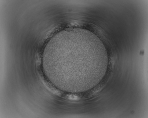 X0000112470751200909071133