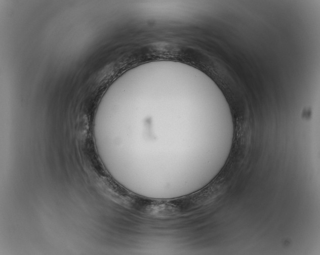 X0000112470752200909071133