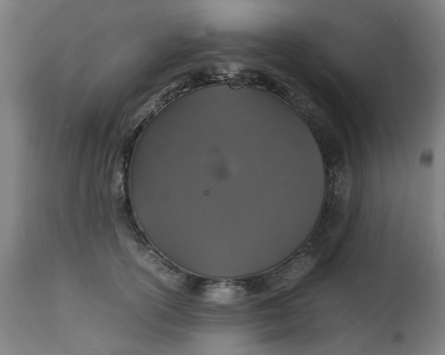 X0000112470754200909071133