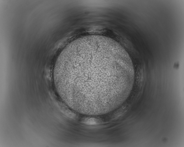 X0000112470755200909071133