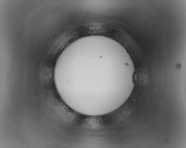 X0000112470756200909071133