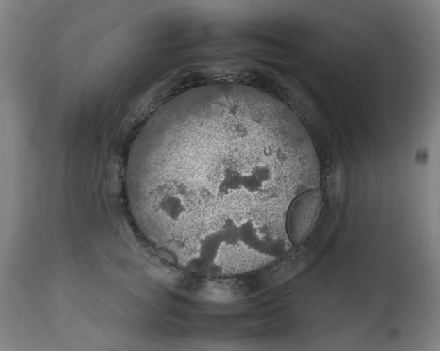 X0000112470757200909071133