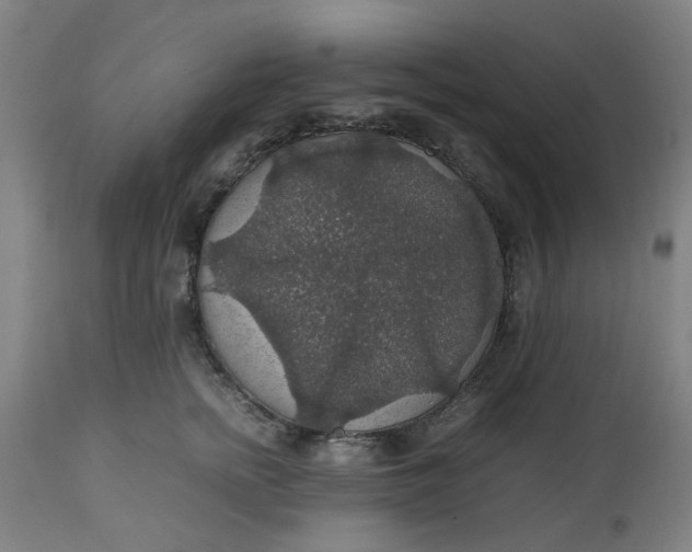 X0000112470758200909071133