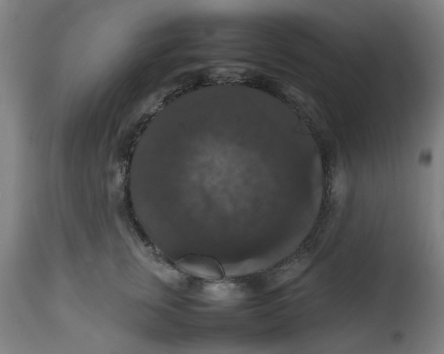 X0000112470759200909071133