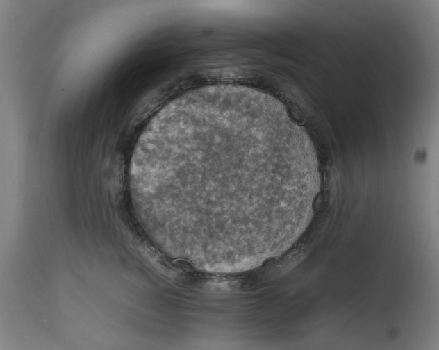 X0000112470760200909071133