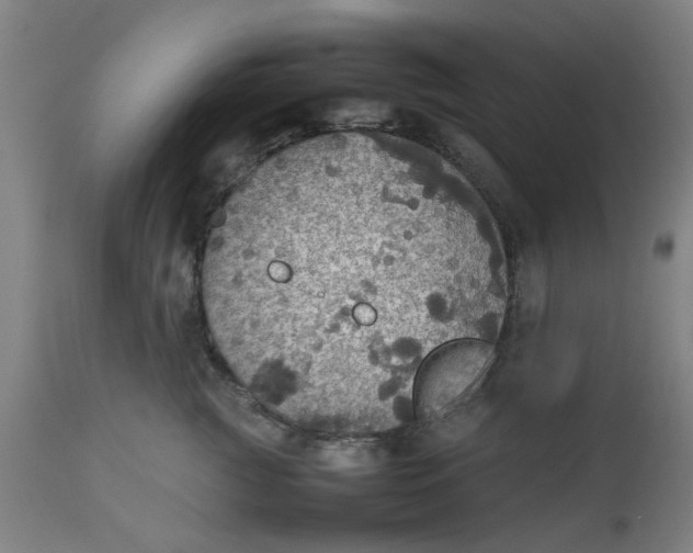 X0000112470761200909071133