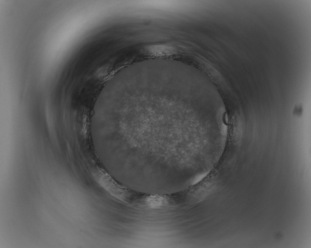 X0000112470762200909071133